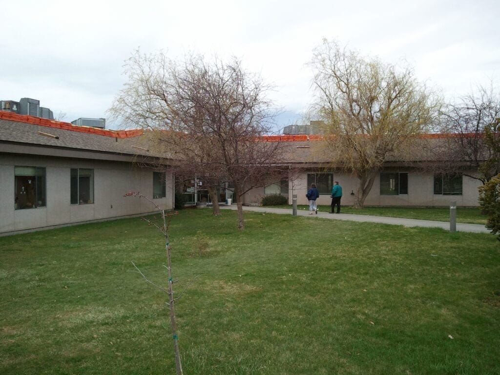 Open lawn area