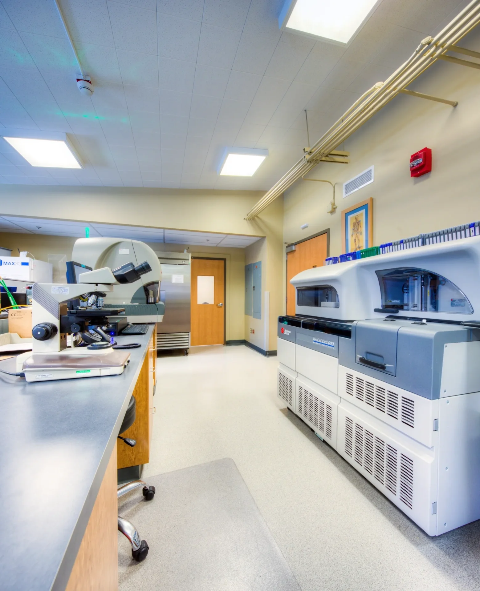 Clinical lab with microscope and analyzers